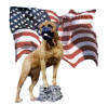 Click here to expand "American Bullmastiff" image